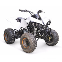 EPA, atv 110CC malika-6